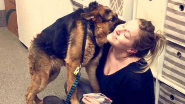 quasi modo the dog quasi modo the dog