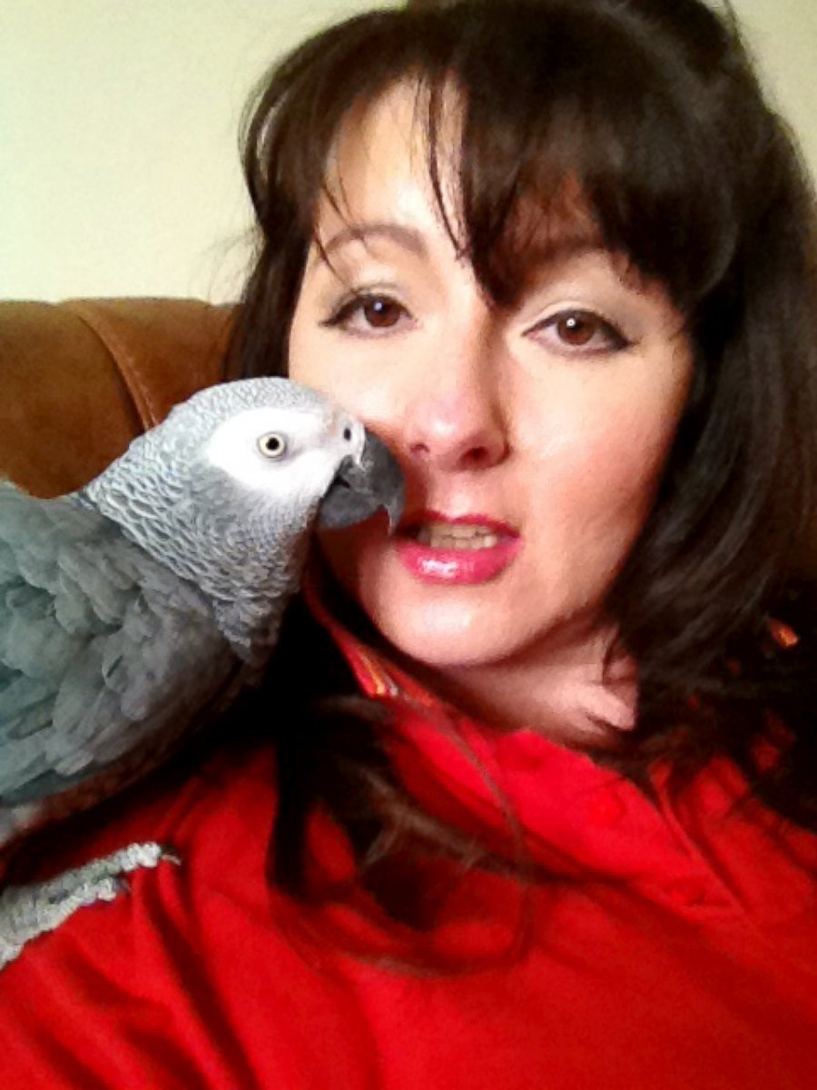 PHOTO: Cara Cosson hopes sharing her story will locate JoeJoe the parrot.