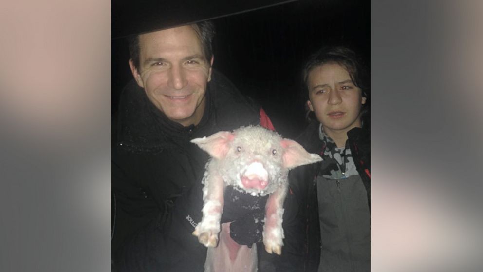 PHOTO: The Smith family rescued this piglet, named Wee Wee, while driving back from a ski trip during this weekend's blizzard.