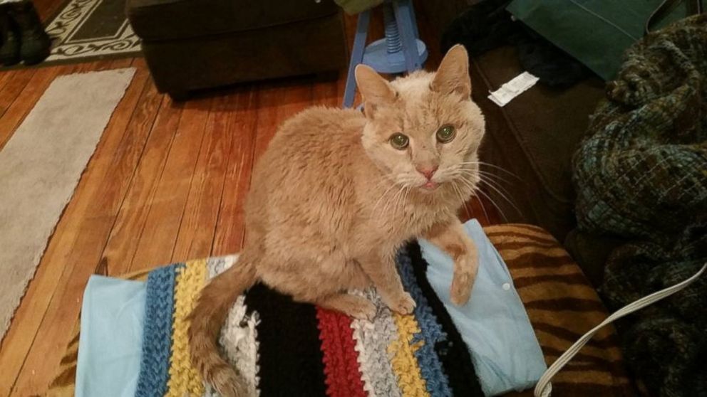 PHOTO: Tigger photographed with a blanket that a stranger sent to him as a gift. 