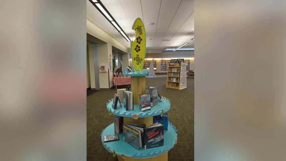 PHOTO: Brittney Ash, of the Virginia Beach Public Library, created a timely display to celebrate "Shark Week."