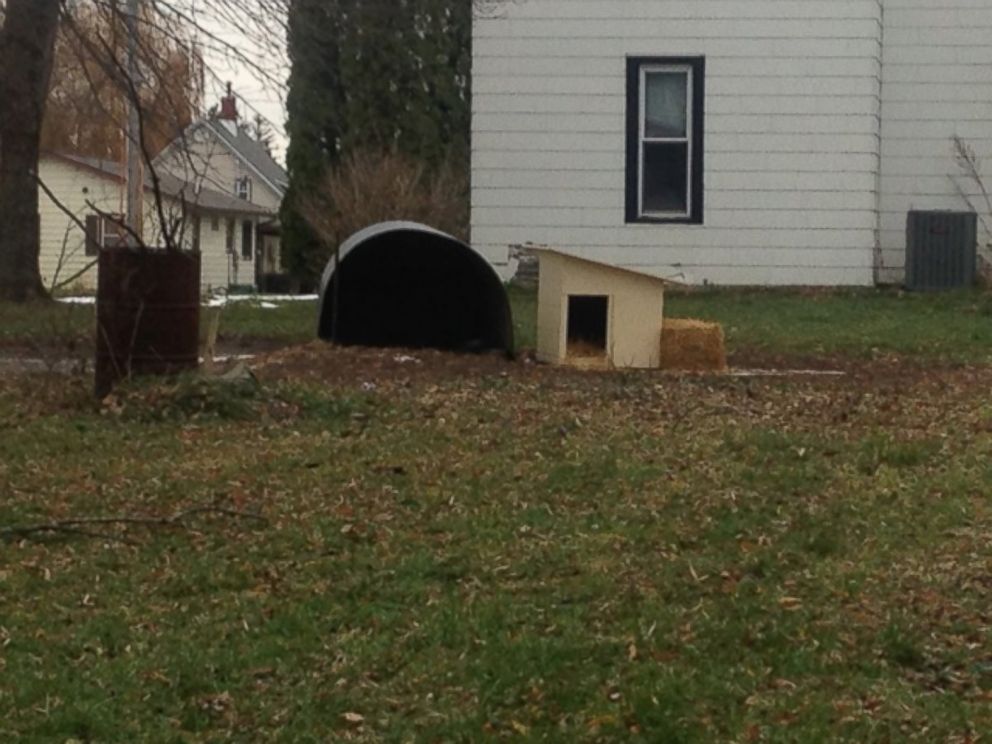 PHOTO:Bella, a dog in Hardin County, Iowa received her first home on Thanksgiving after living outdoors for almost three years.