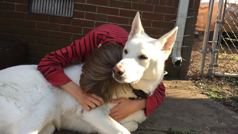 PHOTO: Boy and his neighbor’s dog have tearful reunion after spending a year apart.