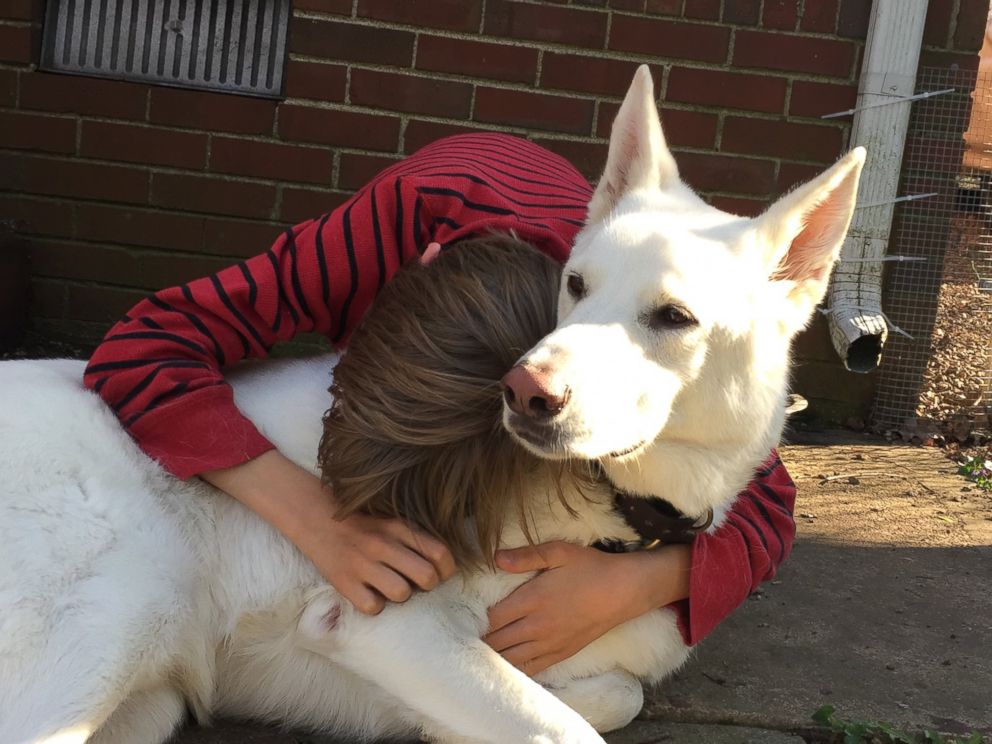 PHOTO: Boy and his neighbor’s dog have tearful reunion after spending a year apart.
