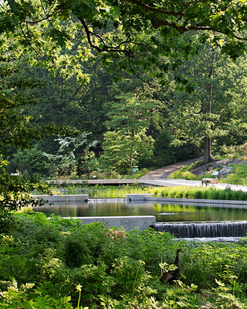 living breakwaters ny on Landscape Architects Shift Emphasis To The Ecosystem Abc News