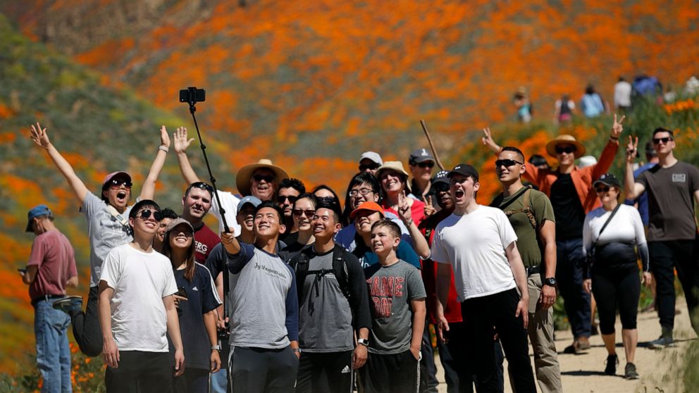 FILE - In this March 18, 2019, file photo, people pose for a picture among wildflowers in bloom at Lake Elsinore, Calif. This spring, fields of wildflowers in Lake Elsinore, were overrun by tourists seeking the perfect photo. A tweet from Lake Elsino