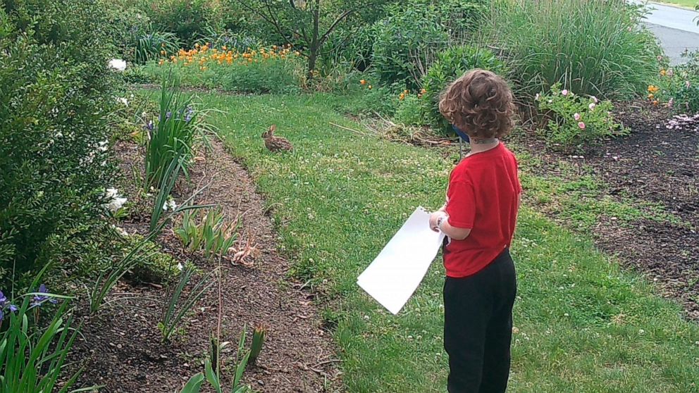This 2021 image provided by LeighAnn Ferrara shows Ferrara's young son as he watches a rabbit on a grassy patch of his White Plains, N.Y., yard, which is surrounded by planting beds of flowers, vegetables and trees. Many people are converting parts o
