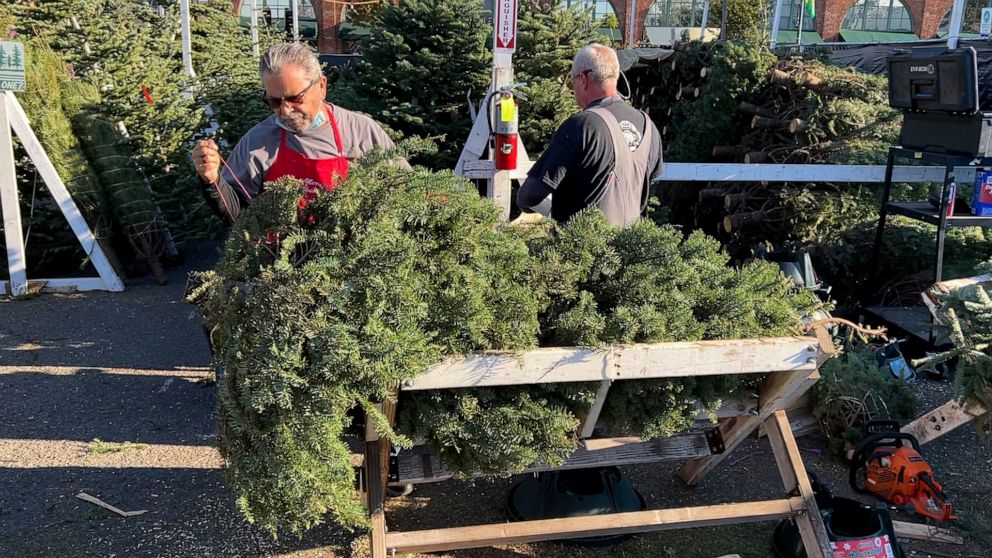 Dale Pine, owner of Crystal River Christmas Trees, prepares a tree for sale at his lot in Alameda, Calif. on Nov. 24, 2021. Extreme weather and supply chain disruptions have reduced supplies of both real and artificial trees this season. American sho