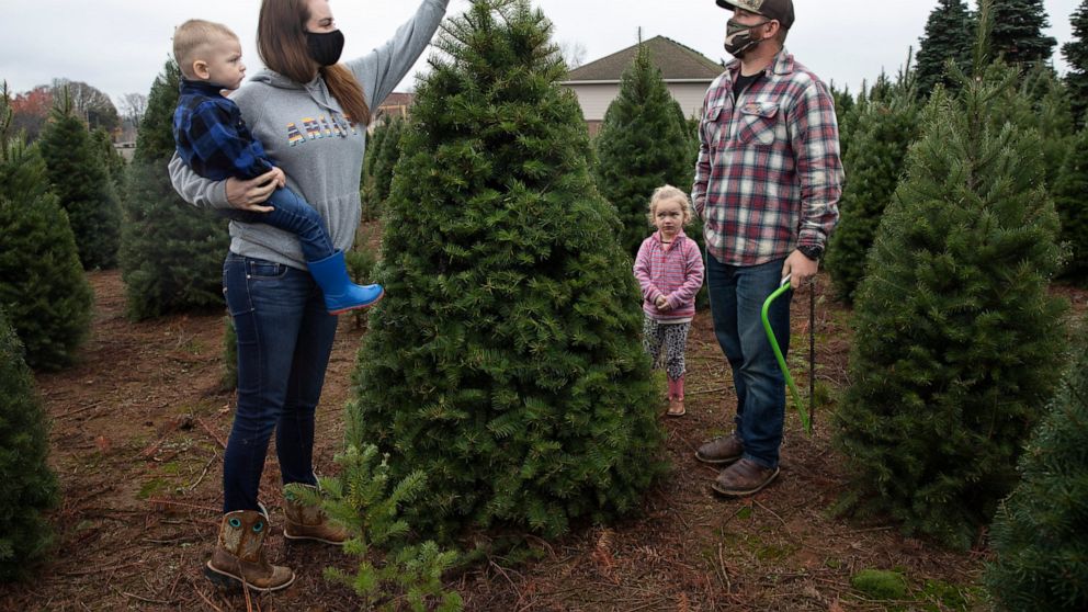 Many turn to real Christmas trees as bright spot amid virus