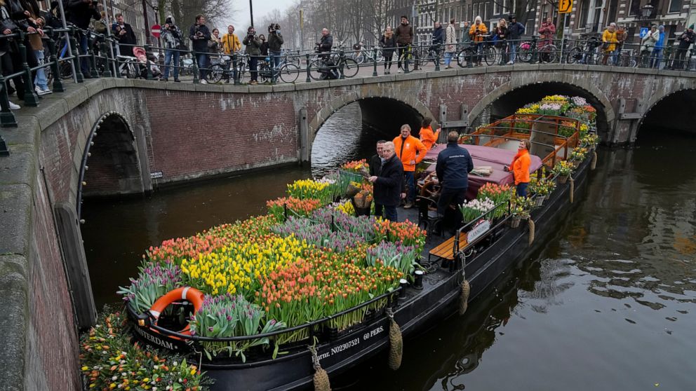 On the day stores in Amsterdam and across the Netherlands cautiously re-opened after weeks of coronavirus lockdown, the Dutch capital's mood was further lightened by dashes of color in the form of thousands of free bunches of tulips handed out by gro