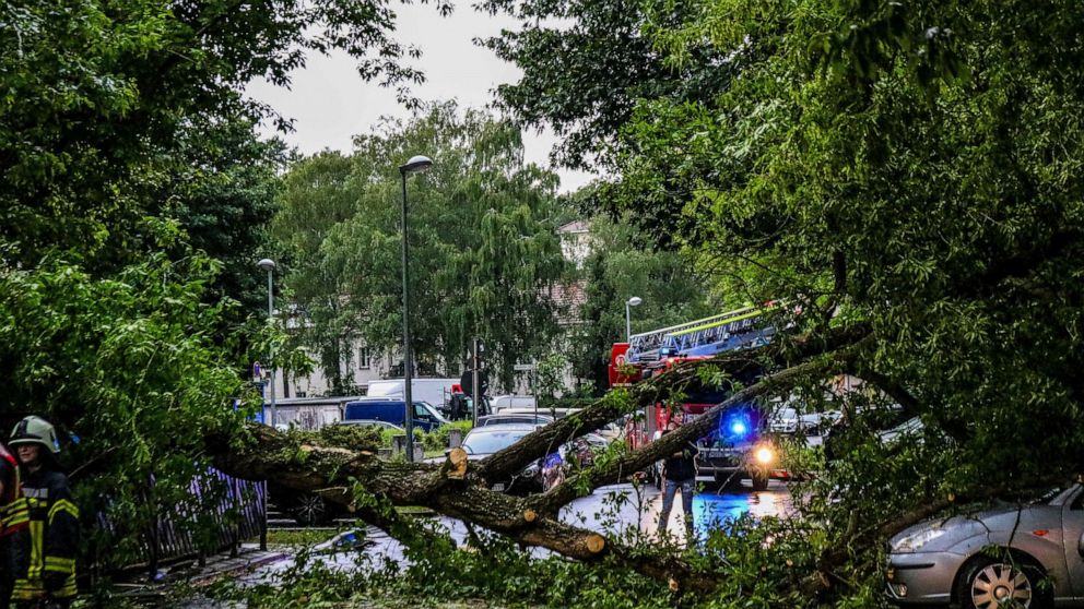 Fallen trees lie on a road after a heavy thunderstorm in Henningsdoirf, near Berlin, Germany, June 12, 2019. Authorities say that about 20 people have been injured in eastern Germany by gusty winds and thunderstorms. (Julian Staehle/dpa via AP)