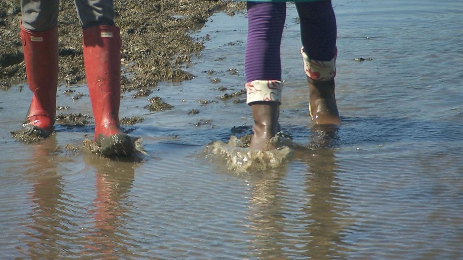 Wirecutter on sale rain boots