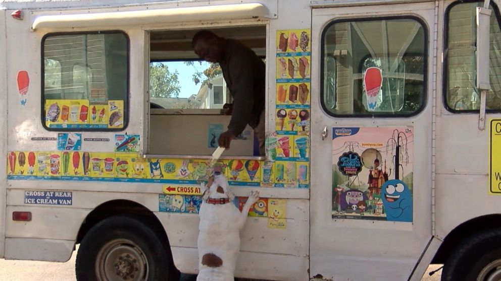 PHOTO: Rambo the dog is the biggest customer of an ice cream truck driven in Hunstville, Alabama.