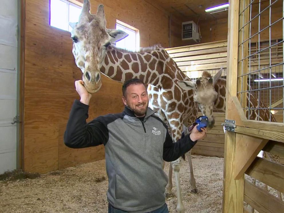 PHOTO: I cannot confirm nor deny the possibility of another pregnancy, Animal Adventure Park owner Jordan Patch said on GMA today, fueling the speculation.