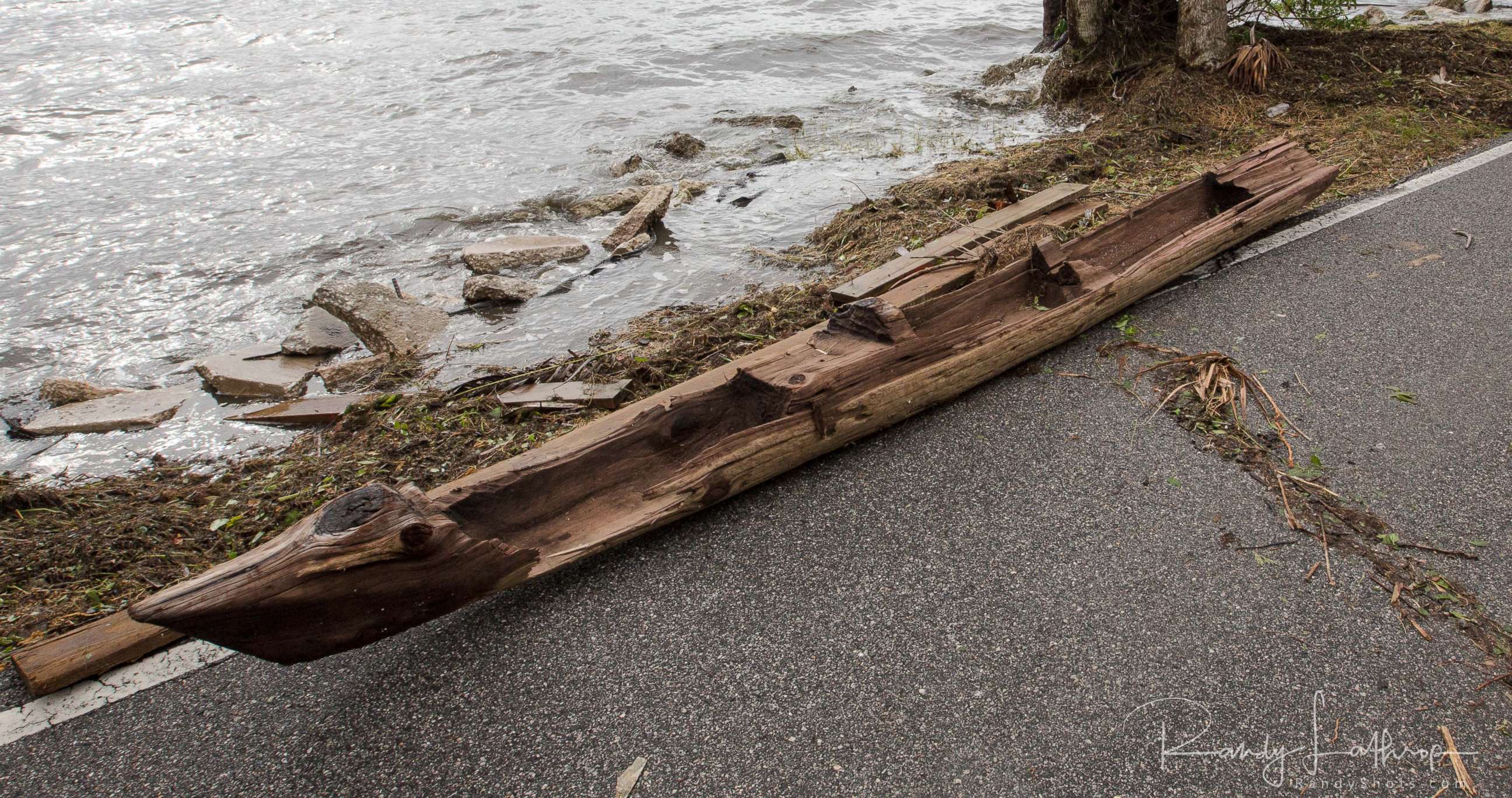 PHOTO: Randy Lathrop of Cocoa, Fla., discovered the historic dugout canoe, Sept. 11, 2017, after Irma struck the coast.