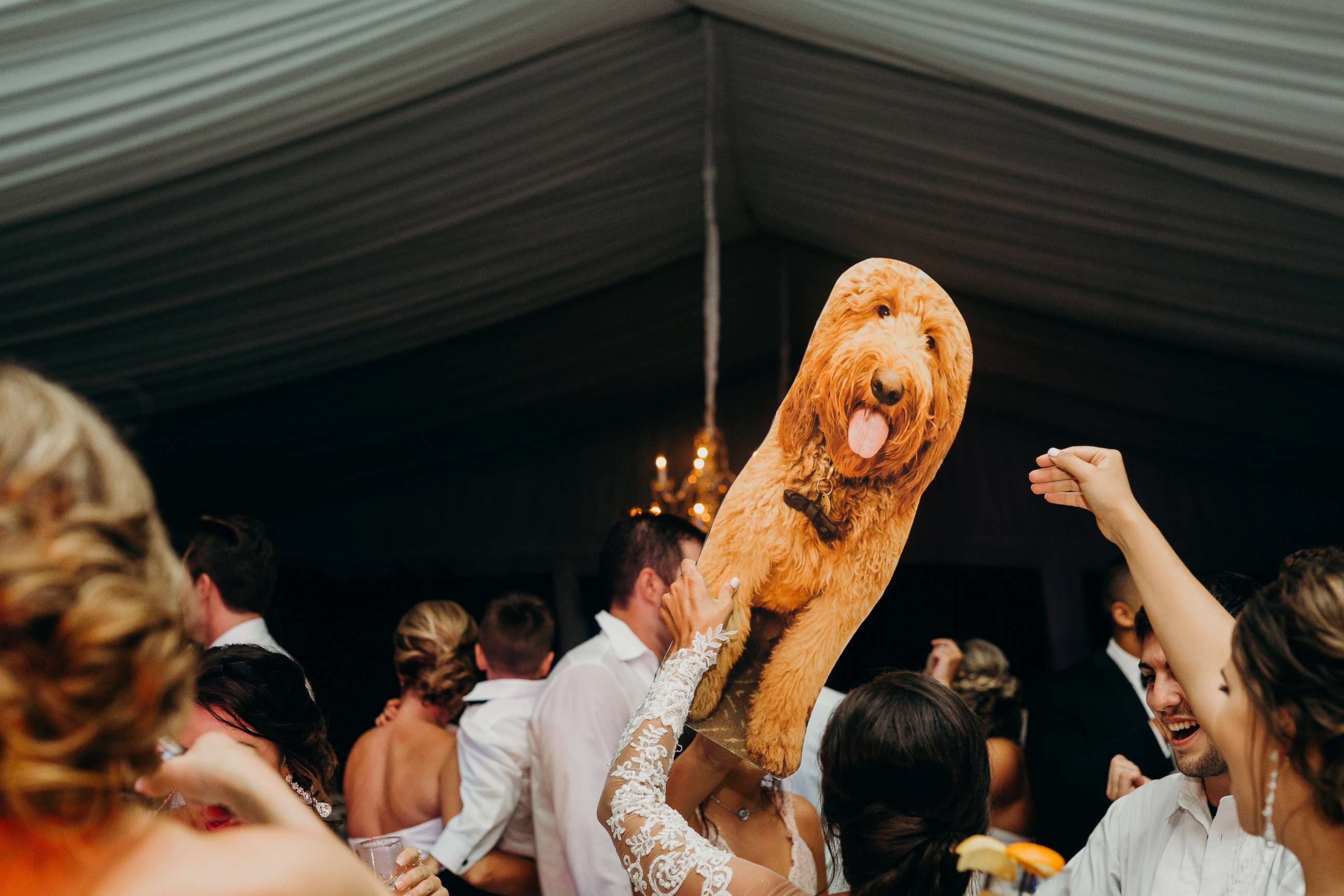 PHOTO: Hillary Bowles' dad surprised her with a cardboard cutout of her dog, Leo, at her July 3 wedding in Charleston, S.C. 