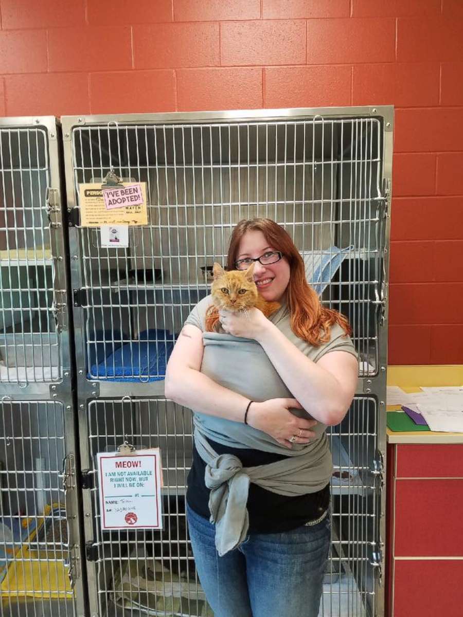 PHOTO: Dougie, a 15-year-old feline, was adopted on Sept. 16 by Ashley Perkins, 31, of Springvale, Maine, after a photo of him in a baby carrier went viral.