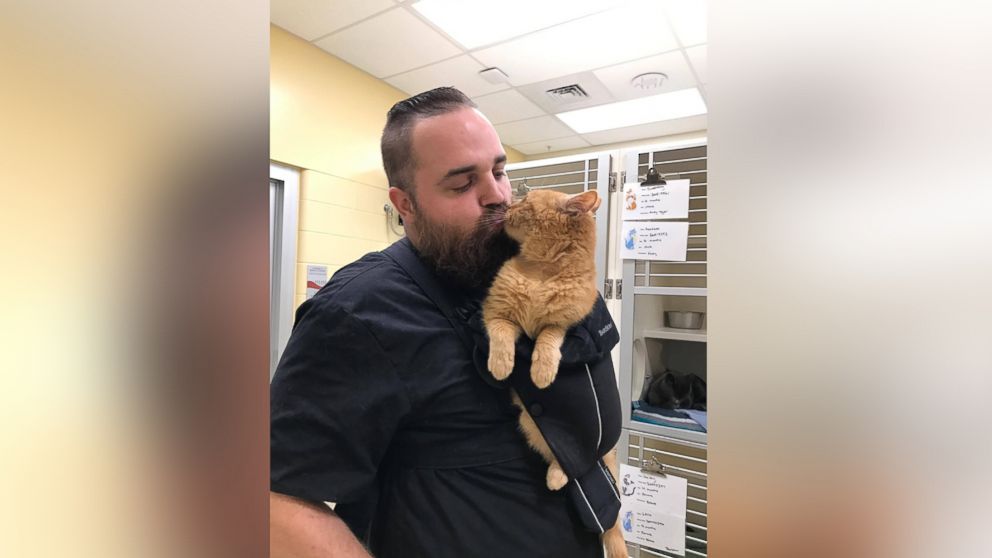 PHOTO: Dougie, a 15-year-old feline, was adopted on Sept. 16 from Animal Refuge League of Greater Portland in Portland, Maine, after a photo of him in a baby carrier went viral.