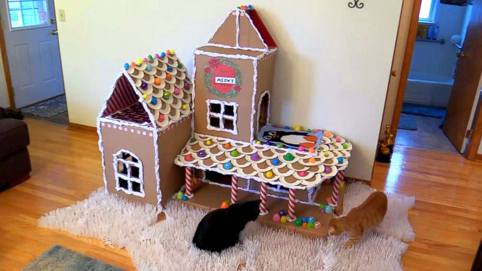 PHOTO: Chris Poole and Jessica Josephs built a giant cat-friendly "gingerbread" house for their cats Marmalade and Cole.