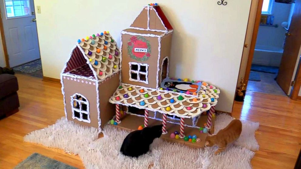 Gingerbread hot sale cat house