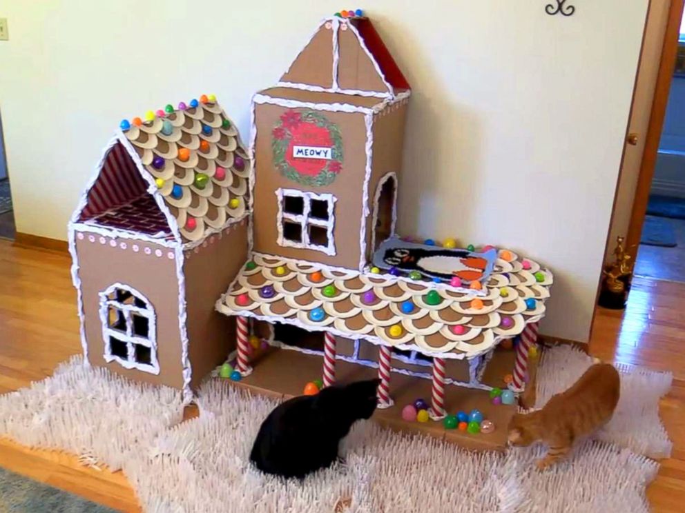 Cat-loving couple creates giant DIY 'gingerbread' house 