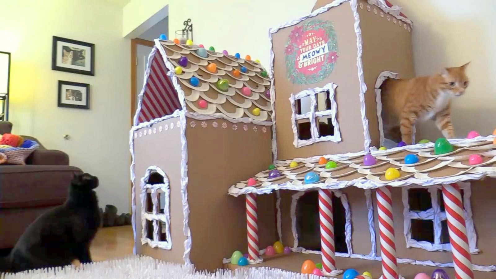 Featured image of post Diy Cardboard Gingerbread House