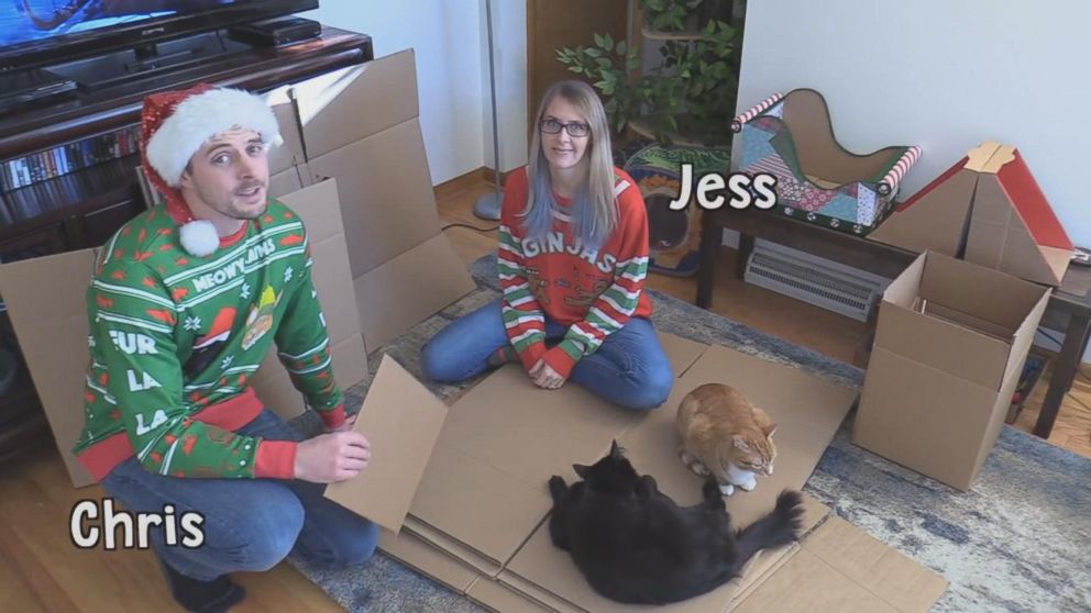 PHOTO: Chris Poole and Jessica Josephs built a giant cat-friendly "gingerbread" house for their cats Marmalade and Cole.