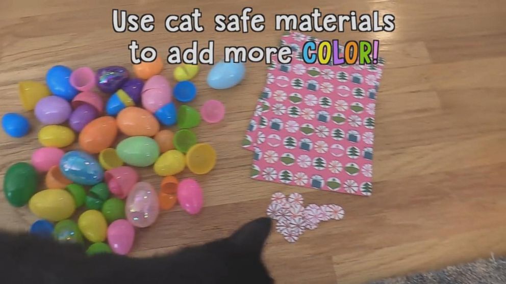 PHOTO: The YouTube duo suggest using only cat safe materials