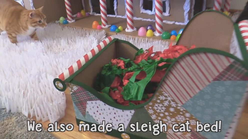 PHOTO: Chris and Jessica made a sleigh cat bed too.