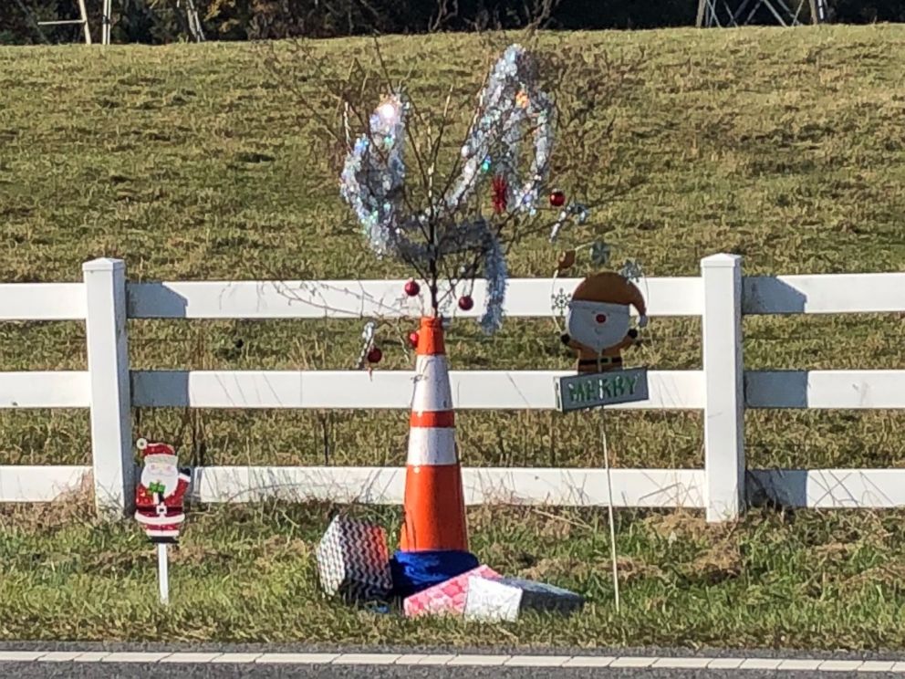 PHOTO: "Cone Weed" has become a sensation in Huntersville, North Carolina after someone anonymously decorated it for the holidays.