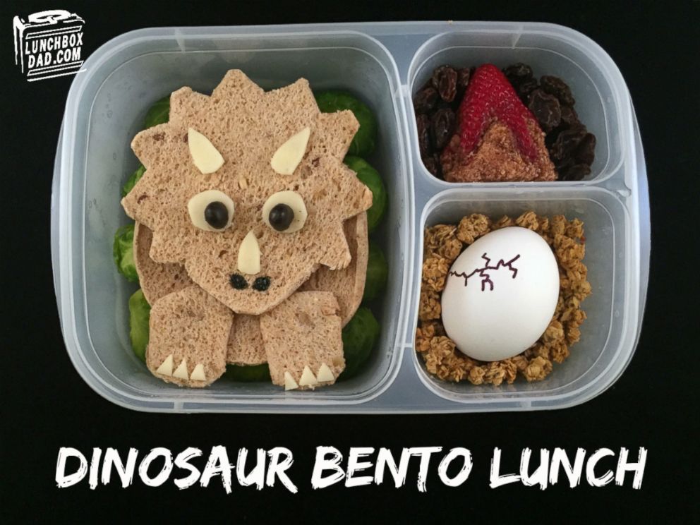 Dinosaurs Bento Box Personalized Lunch Box Dino Bento Box 