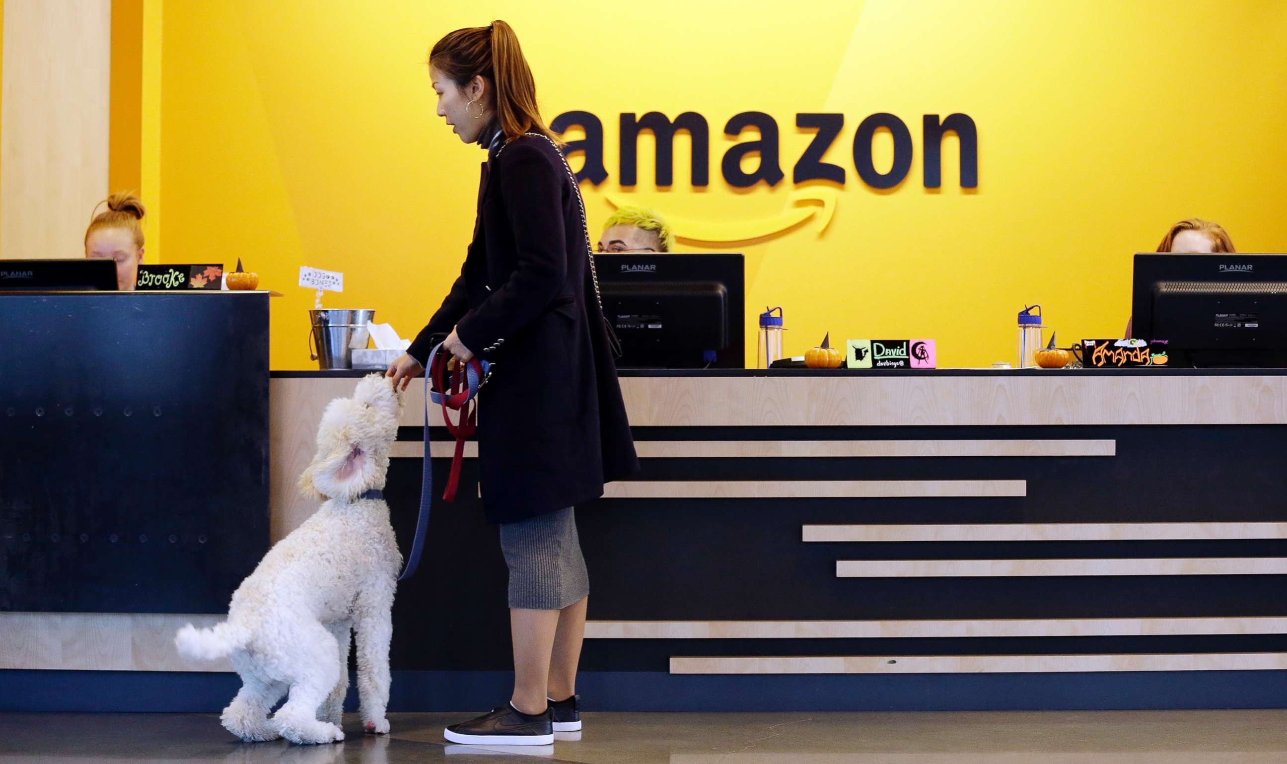 PHOTO: An Amazon employee gives her dog a biscuit as the pair head into a company building, where dogs are welcome, in Seattle, Oct. 11, 2017.