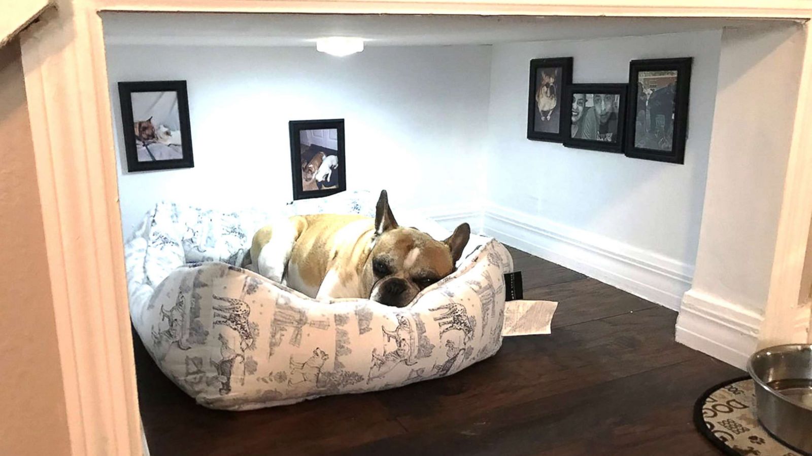 Florida Man Builds Tiny Bedroom For His, Bed Frame With Dog Bed Underneath