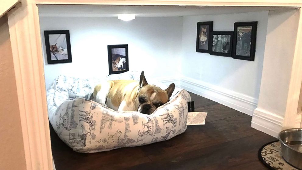 PHOTO: David Maceo of Tampa, Fla., built a tiny bedroom for his dog under the stairs.