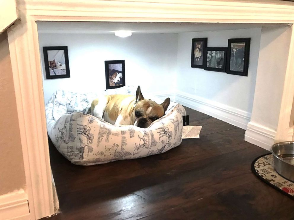 Florida man builds tiny bedroom for his dog under the stairs - ABC News
