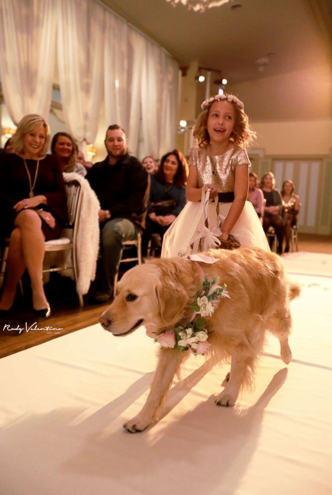 PHOTO: Norah the golden retriever stole the show as one of the flower girls at her owner's Nov. 4, 2017 wedding.