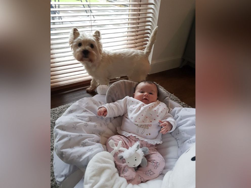 PHOTO: Michael McGowans newborn daughter, Catelyn, born last October with 3-year-old Molly.