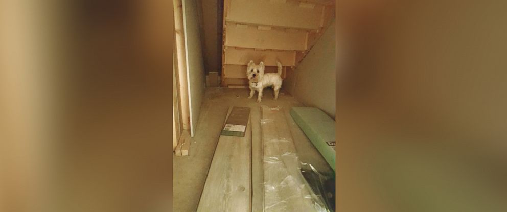 PHOTO: A before picture of Michael McGowan's dog den that he created for his 3-year-old West Highland White Terrier named Molly.