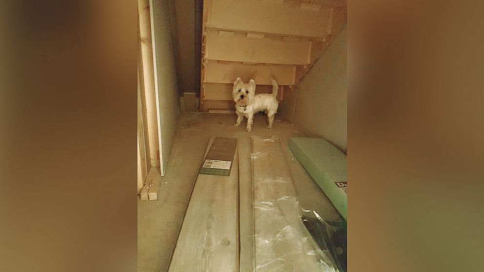 PHOTO: A before picture of Michael McGowan's dog den that he created for his 3-year-old West Highland White Terrier named Molly.