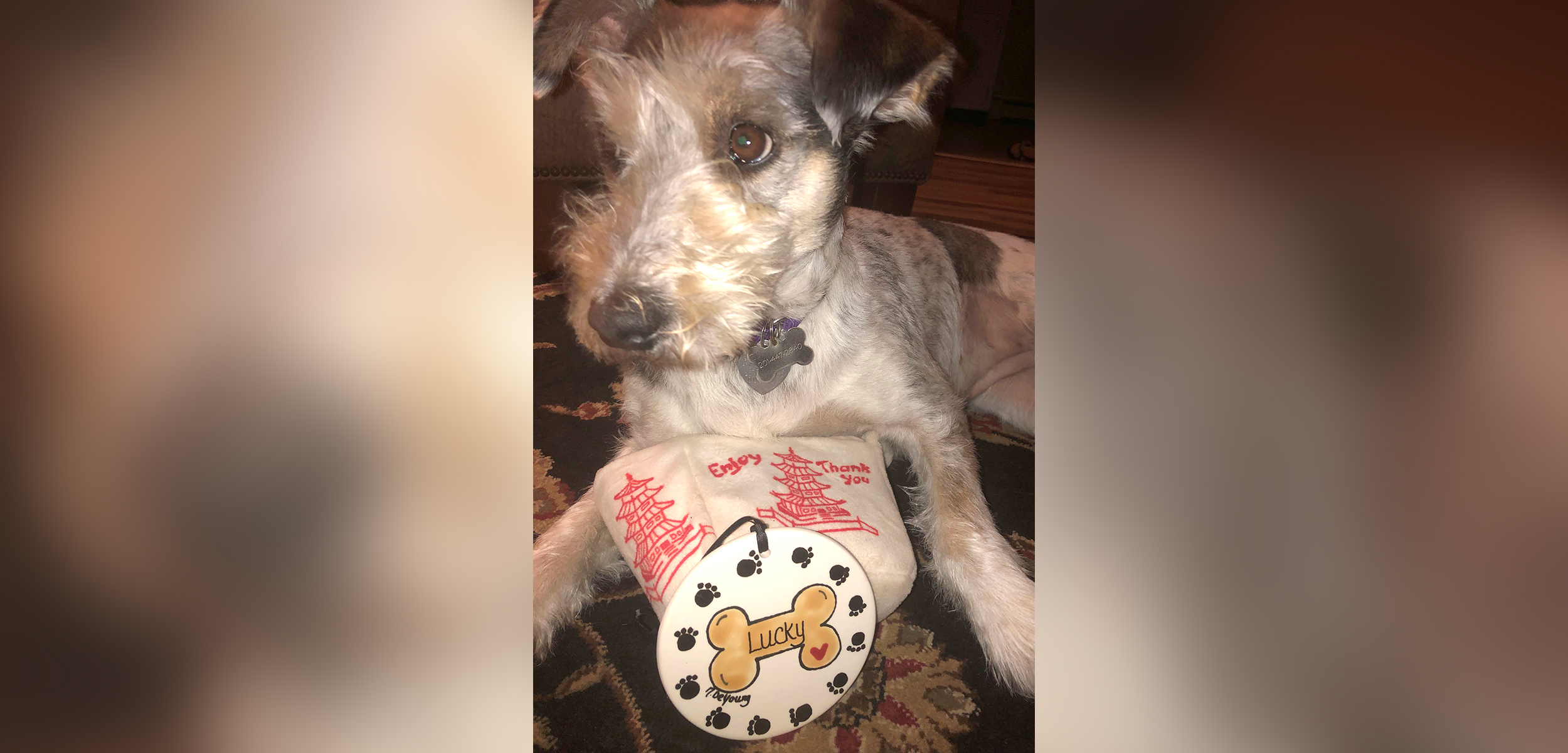 PHOTO: Orlando Ippolito and Otis Williams surprised their favorite dog Lucky with a personalized Christmas ornament for the holidays.