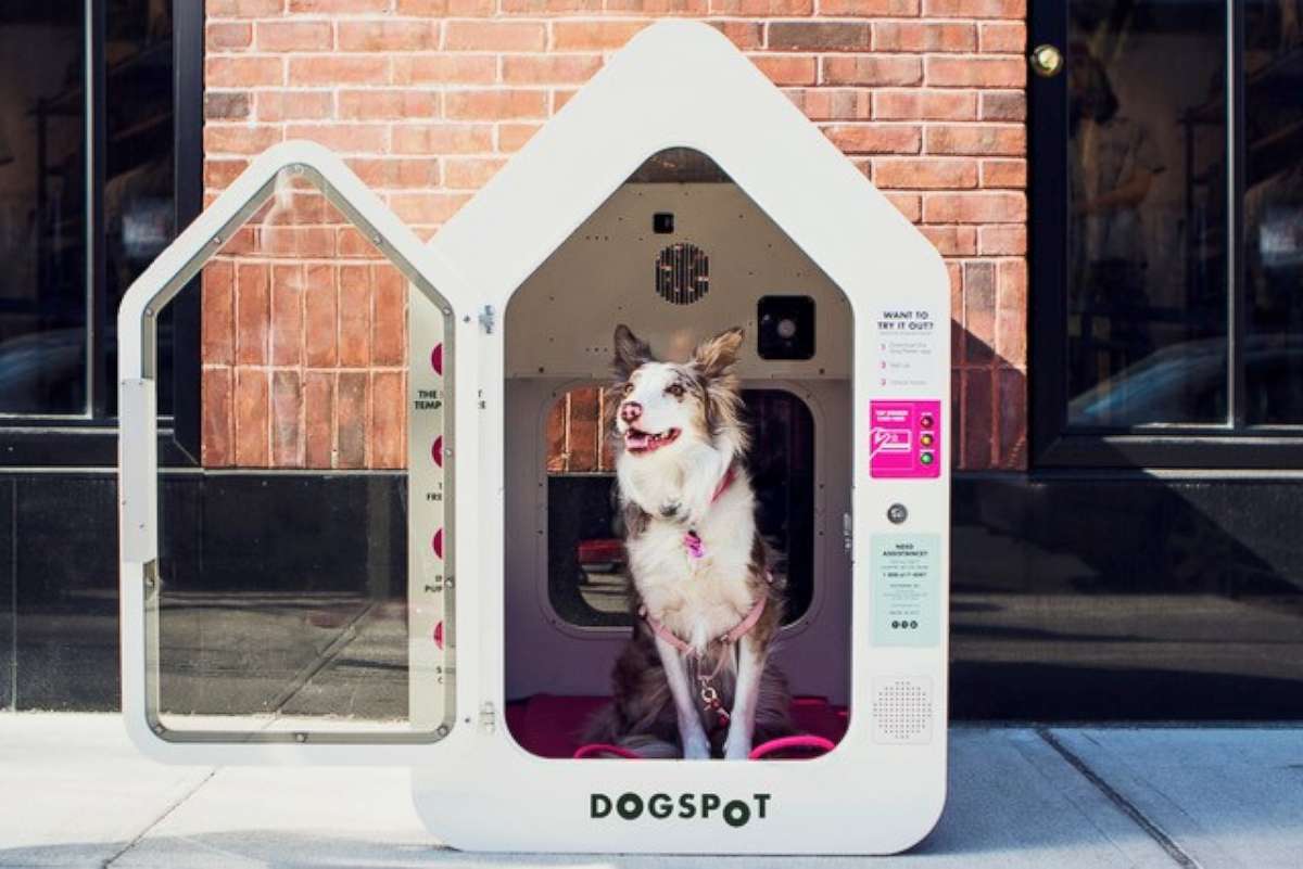 Climate controlled dog store shed