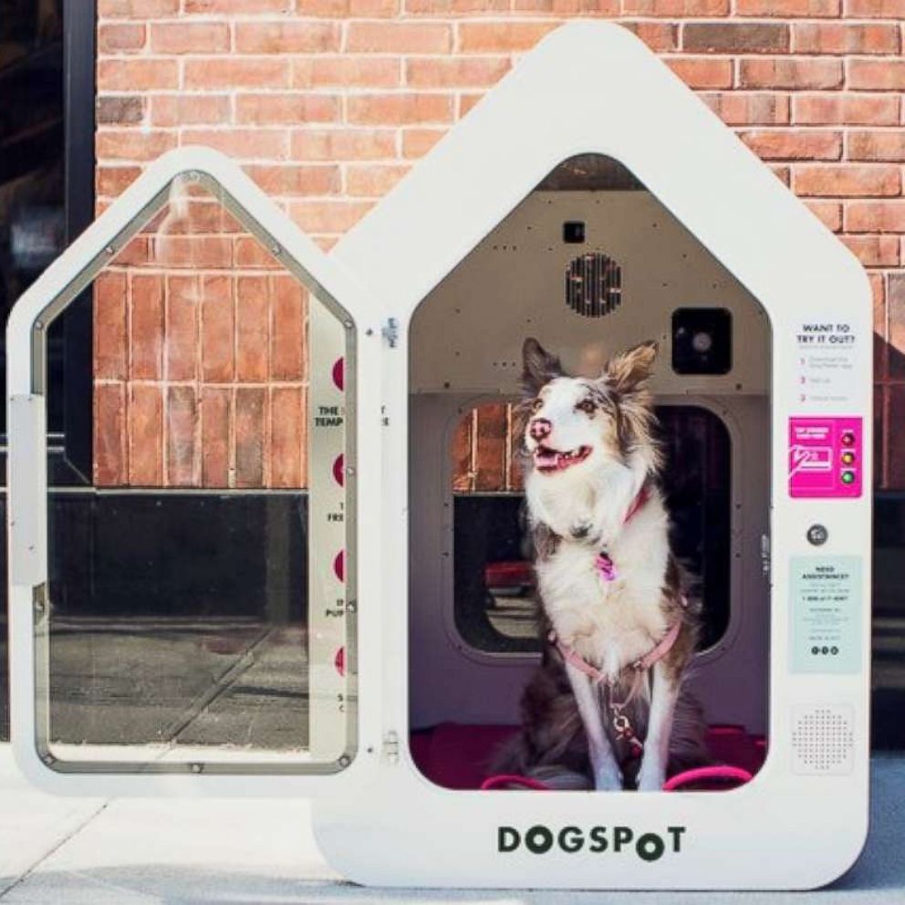 VIDEO: Air-conditioned dog houses are popping up across the country