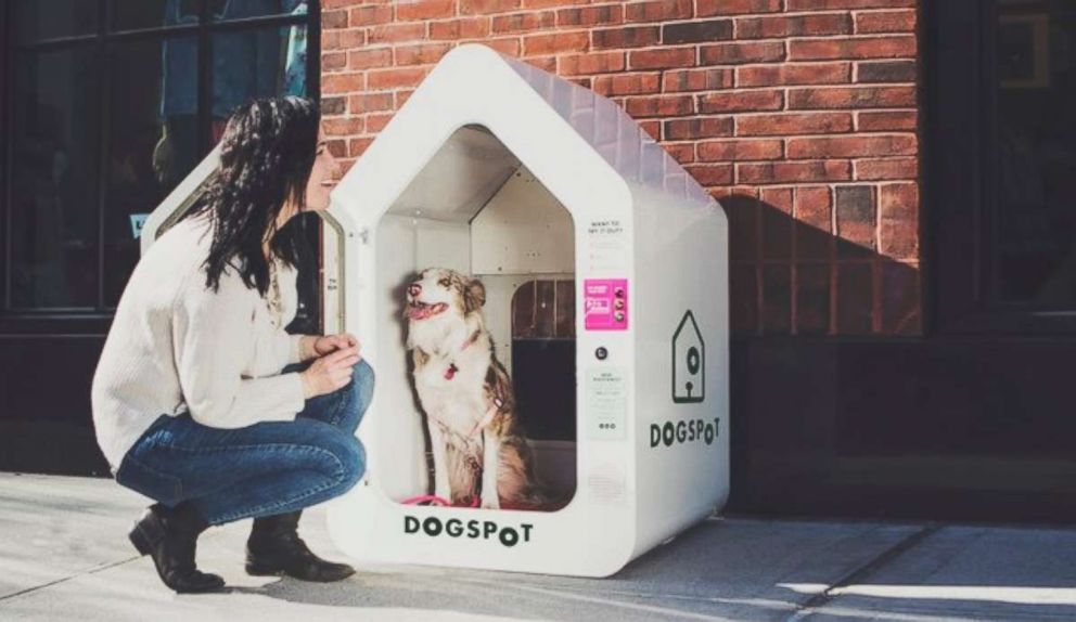 PHOTO: DogSpot was founded by a Brooklyn-based dog owner.