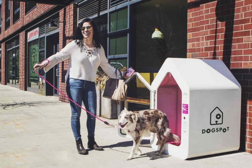 PHOTO: DogSpot offers an air-conditioned space for dogs to wait while their owners are indoors.