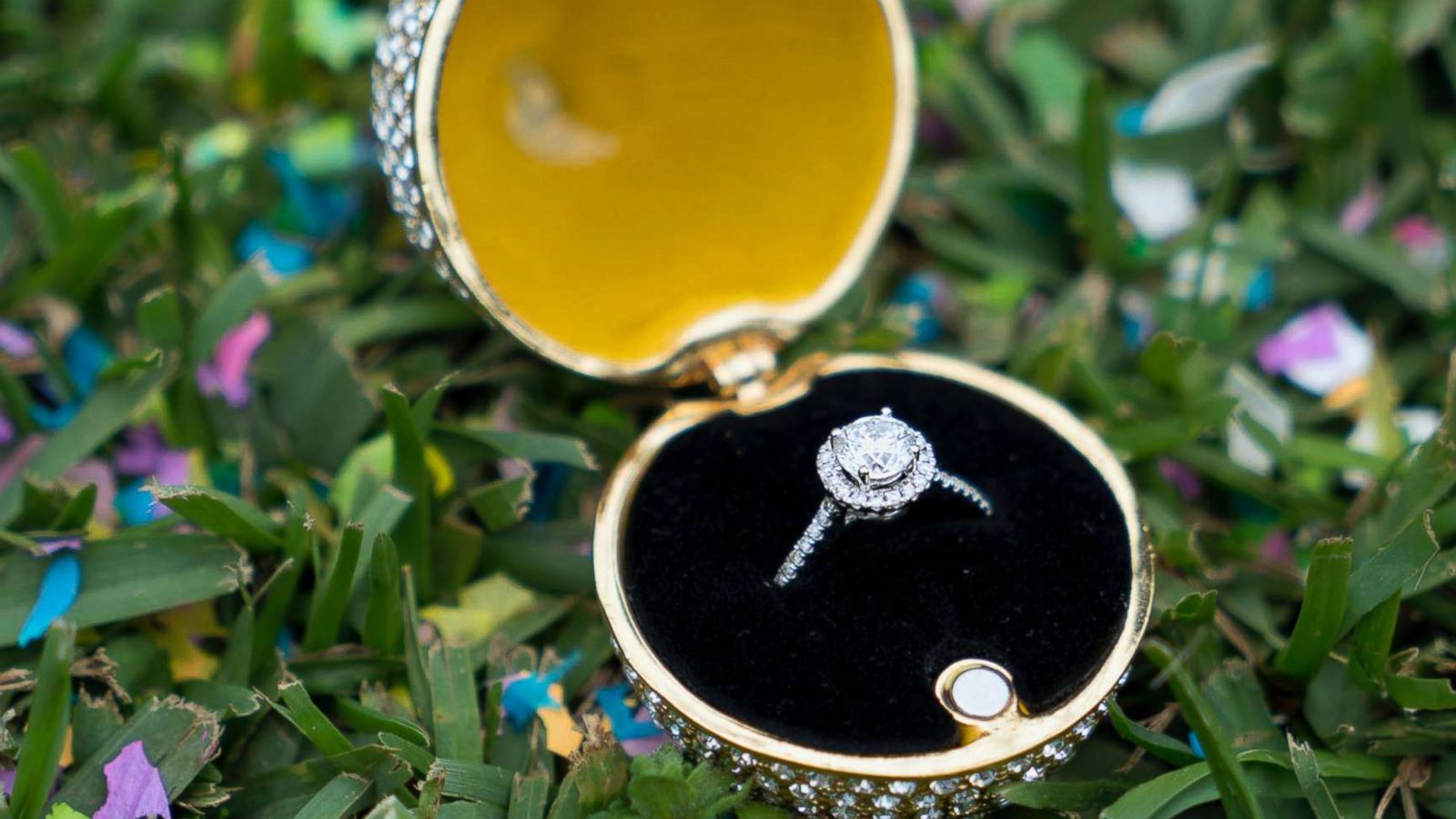 PHOTO: A photo of the Faberge egg that Jorge Peniche used to propose to his now-fiance Letty Martinez.