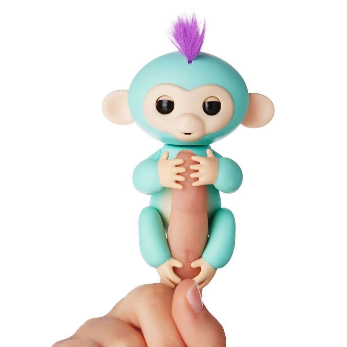 PHOTO: Fingerlings baby monkey named, Zoe, is pictured in this undated photo.