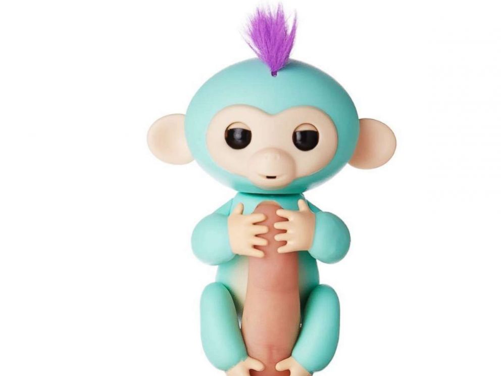 PHOTO: Fingerlings baby monkey named, Zoe, is pictured in this undated photo.