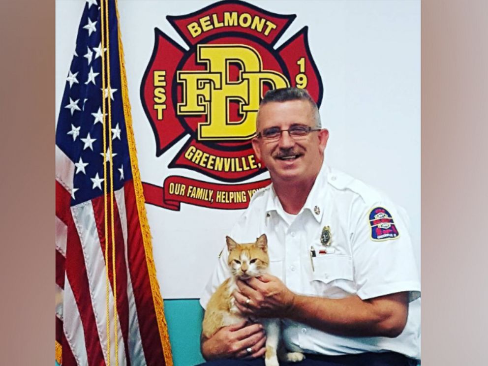 PHOTO: The firefighters at Belmont Fire Department in Greenville, S.C., said Flame the cat is therapeutic for them.