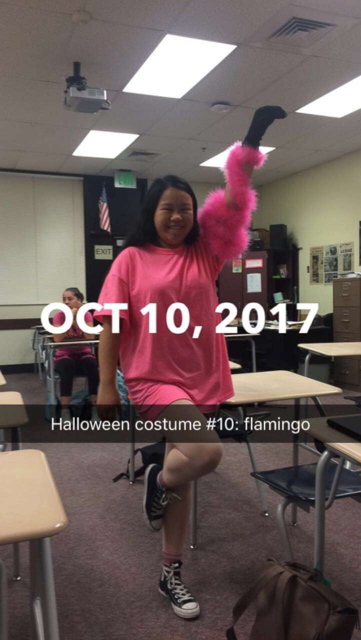 PHOTO: Molly Foote dressed as a flamingo on Oct. 10, 2017.