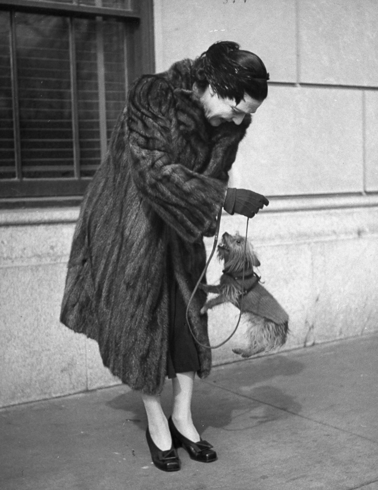 Celebrities Walk Their Dogs in 1940s New York City Photos - ABC News